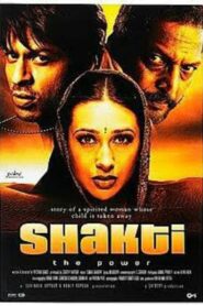 Shakti: The Power (2002) Hindi HD