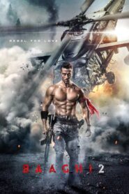 Baaghi 2 (2018) Hindi