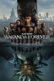 Black Panther Wakanda Forever (2022) Hindi Dubbed