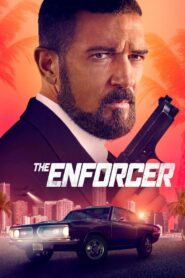 The Enforcer (2022) Hindi Dubbed