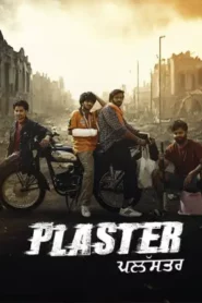 Plaster (2024) Punjabi Season 1 Complete