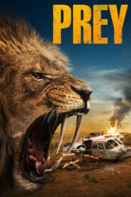 Prey (2024) Hindi Dubbed