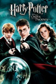 Harry Potter and the Order of the Phoenix 5 (2007) Hindi Dubbed